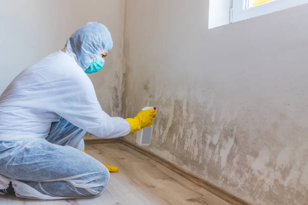 Mold Remediation specialist working in Snellville
