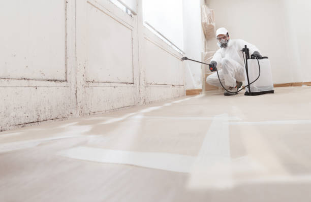 Black mold remediation team in Snellville